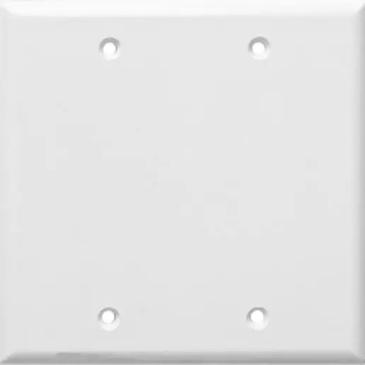 2 Gang Blank Wall Plate
