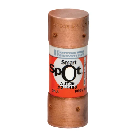  AJT25 class J T/delay fuse 600V