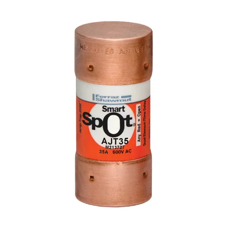 [AJT35] AJT35 class J T/delay fuse 600V