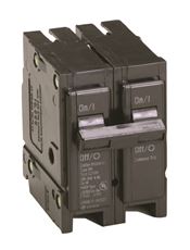 Eaton 100 Amps Plug in 2-Pole Circuit Breaker BR2100