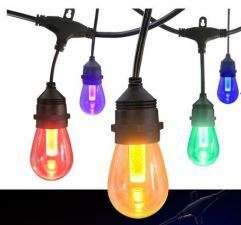 Nexleds RGBW Outdoor String Lights - 1W/bulb, RGB (NX-S14-15M-RGBW)