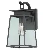 Votatec VO-11191MD-CG 1-Light 60W Black Outdoor Wall Light