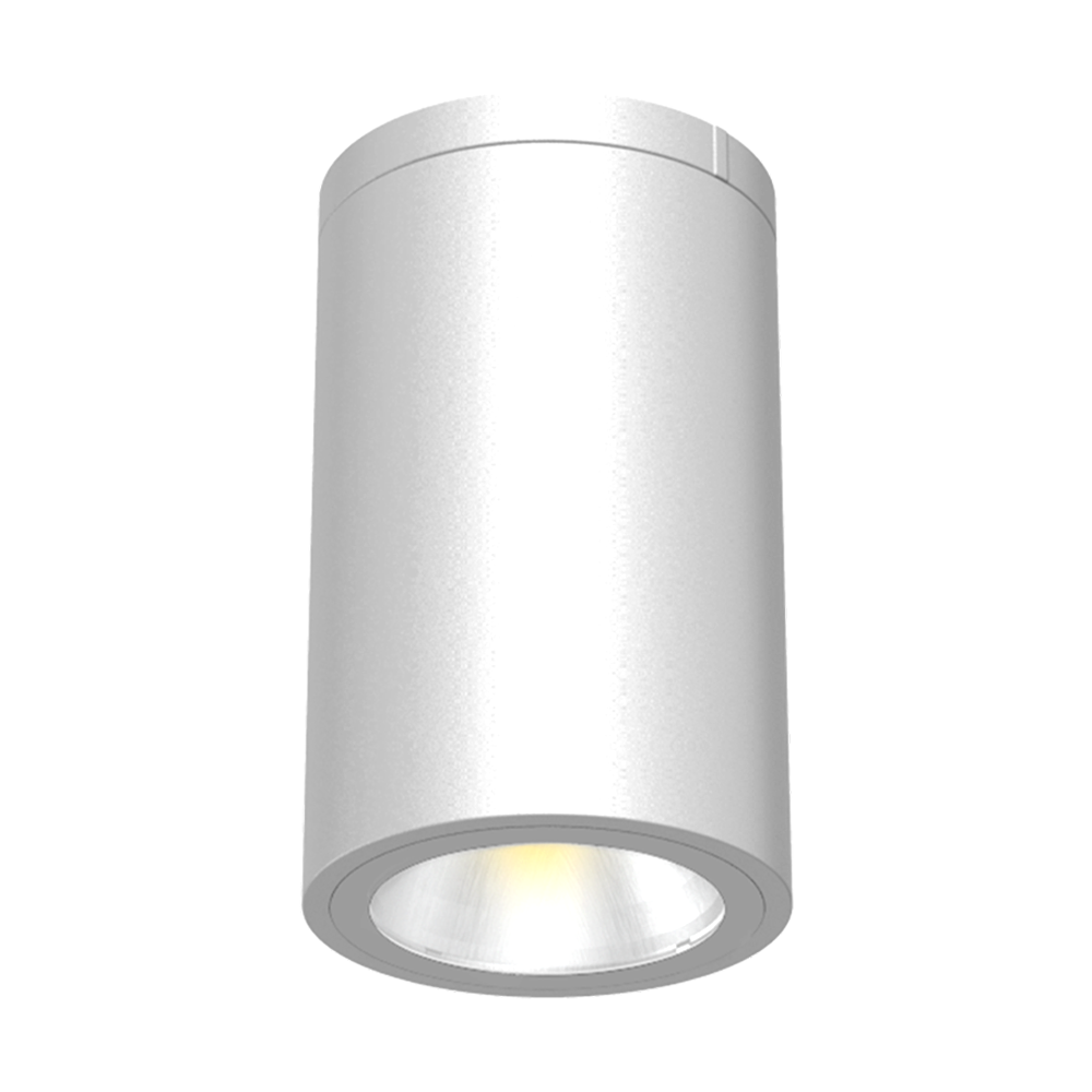 Reno Arte Ceiling Mount Cylinder Downlight