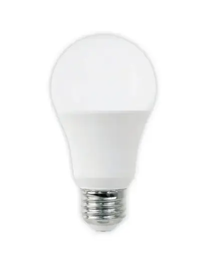 A19 LED Bulb 10W-800LM