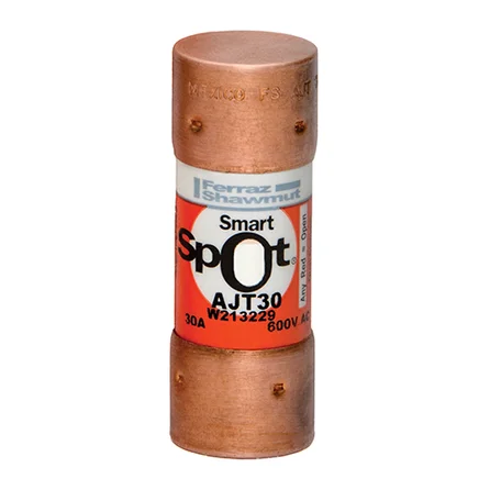 [AJT30] AJT30 class J T/delay fuse 600V